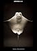 Books : ANIMALIA