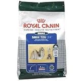 Rc Mini Shih Tzu 10 Lb