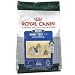 shih tzu - Rc Mini Shih Tzu 10 Lb