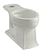 Kohler K-4295-95 Archer Elongated Toilet Bowl, Ice Grey
