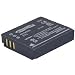 Lithium Ion Digital Cameras Battery For Ricoh DB-60