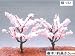 ■【カワイ】桜（S）（1本入）(KPD-23)鉄道模型Nゲー...