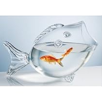 plastic fish bowl