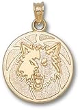 Minnesota Timberwolves Basketball 3/4
