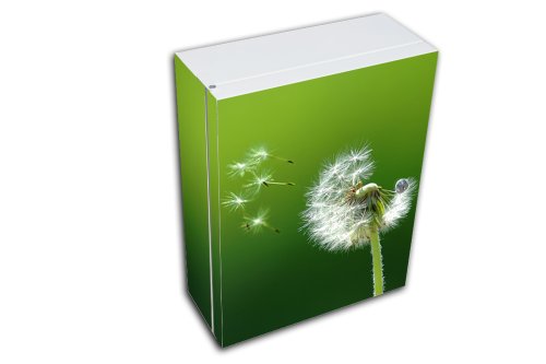 Badschrank Pusteblume Medizinschrank Stahlschrank