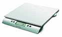Salter Stainless Steel Aquatronic 22-Pound Scale