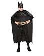 Batman The Dark...