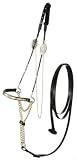 Royal King Gold/Silver Nose Arabian Show Halter
