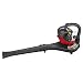 Factory Reconditioned Homelite 26cc Gas Powered MightyLite Blower (Non-CARB Compliant) #ZR08520