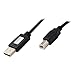 Scanner USB Cable Lead for All Epson Perfection and Expression Scanner's - See Description for Compatibility - 1.8m
