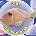 Russ Seapals Pink Anemonefish Fish Plush