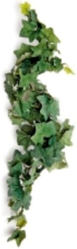 Happy Pet Komodo Comores Hanging Vine 13cm