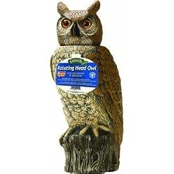 Dalen Prod. RHO-4 Rotating-Head Great Horned Owl