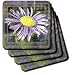 Ice Plant - aizoaceae, carpet weeds, ficoidaceae, flower, flowers, ice plant, marigold - Set Of 8 Ceramic Tile Coasters