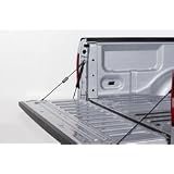 EZ Down Tailgate System for 1999-07 Ford Super Duty