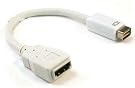Mini-DVI to HDMI...