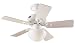 Hunter Bainbridge One-Light 36-Inch Five-Blade Ceiling Fan,Textured White with White Globe #20421