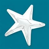 Sterling Silver Star Brooch