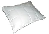 Blue Ridge Home Down Topper Standard Pillow