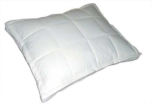 Blue Ridge Down Topper Pillow