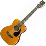ARIA AF-36MINI/AN �~�j�A�R�[�X�e�B�b�N�M�^�[