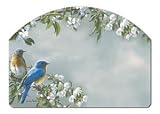 Bluebirds & Blossoms