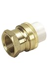 1  Union Slip x Brass Fip