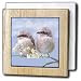 777images Digital Paintings Wildlife - Fledgling baby sparrows learning to fly Digital Oil Painting - Tile Napkin Holders