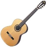 Washburn Classical Series Acoustic