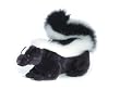 Skunk Plush, 12 Inches (Sachet From Aurora World)
