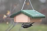 Single Cake Upside Down Suet Feeder w/Hanging Cable