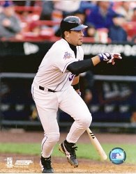 Mike Piazza New York Mets 8x10 Photo #8