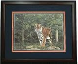 Auburn Tigers - &acute; Ruler of the Plains &acute; Framed Lithograph By Joe Belt From Sports Marketing International ( Limited Edition - 500 ) - B000BK5M6Q