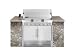 Weber Summit S-640 6-Burner Natural Gas Grill - Built In