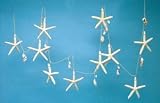Natural Starfish and Shell 9' Garland