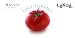 Lekue(�륯��) �٥��쥷�� Vol.1 �ȥޥ� 99814