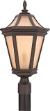 Quoizel PT9341TB Petalo 3-Light Outdoor Post Lantern, Terra Bronze