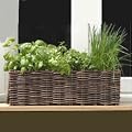 Natural Willow Window Box Planter