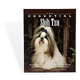The Essential Shih Tzu