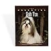 shih tzu - The Essential Shih Tzu