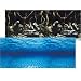 Seascape Double Sided Aquarium Background - 24 in. High - (Sold by foot)