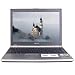 Sony VAIO Core 2 Duo 2GHz 1GB 120GB DVD RW 13.3-Inch Vista