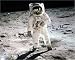 Buzz Aldrin autographed 16x20 Photo (Astronaut)