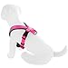 Pawtitas Reflective Dog Harness - Padded, Comfort Control for Walks or Running - Medium Pink