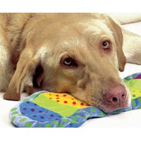 Picture of PetStages Warming Soother