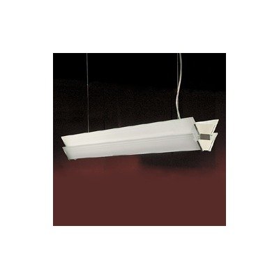 Zaneen Lighting D2 1025 Duplex Pendant
