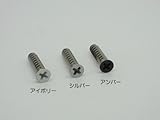 ピクチャーレールR・スリムライン用　頭部塗装ビス　ＳＴ皿小頭４×２０ｍｍ シルバー