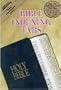 Bible Tab: Mini Clear Tab W/Gold Center Strip & Black Lettering