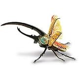 Hercules Beetle 3-D Anatomic Model Puzzle