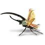 Hercules Beetle 3-D Anatomic Model Puzzle